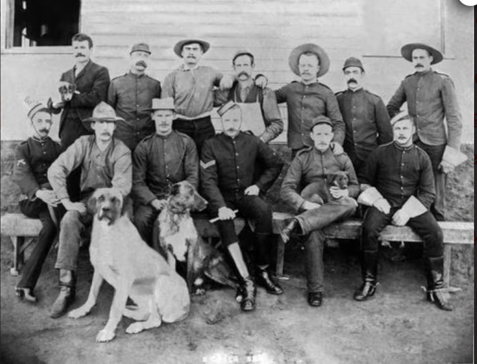 Book - The North-West Mounted Police 1873-1885 – The Trading Post