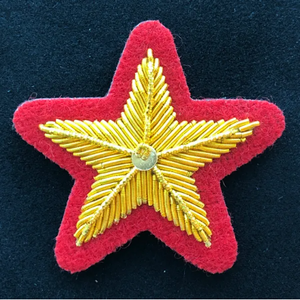 Badges / Insignes - Service Star Large / grande étoile de service