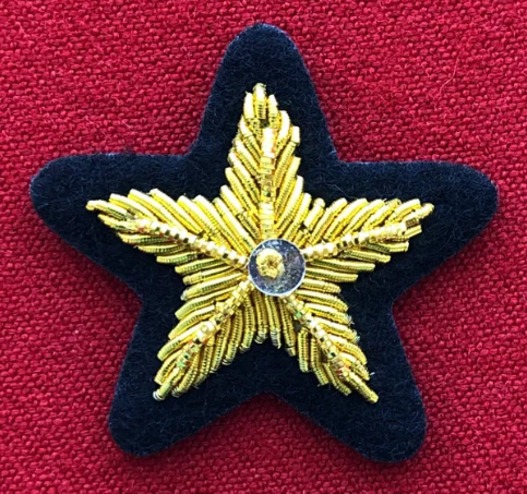 Badges / Insignes - Service Star Small / petite étoile de service