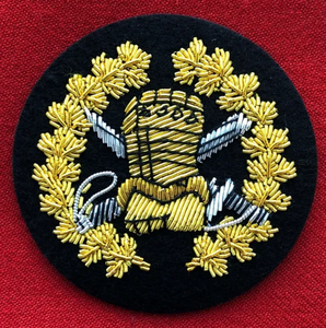 Badge / Insigne - Special Tactical Operations /  Groupe des opérations tactiques spéciales